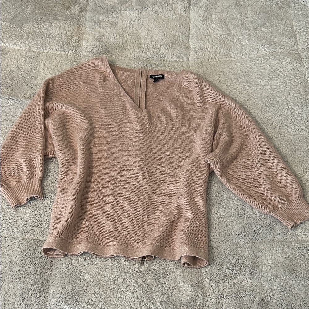 Express Women's V-Neck Sweater